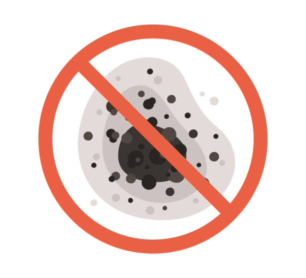 Best Dehumidification Services  in Sisseton, SD