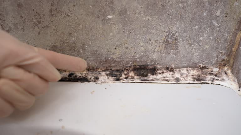 Best HVAC Mold Inspection and Cleaning  in Sisseton, SD